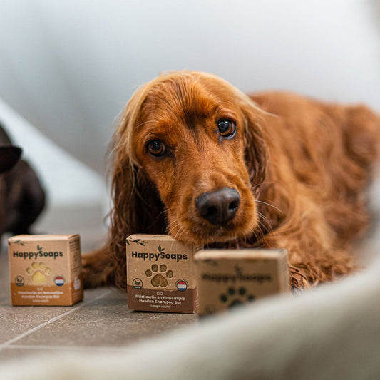 Dog Shampoo Bar - Lång päls
