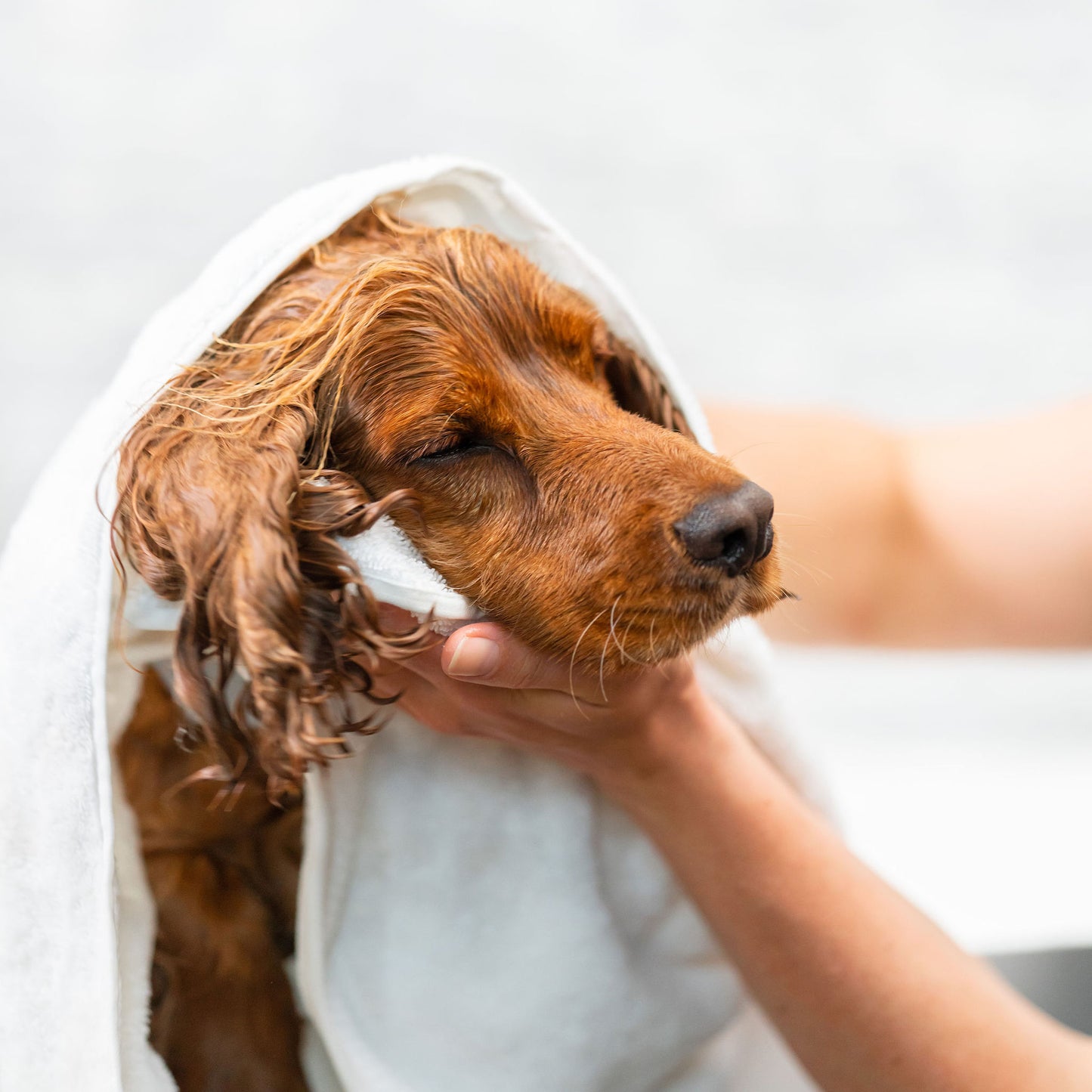 Dog Shampoo Bar - Lång päls