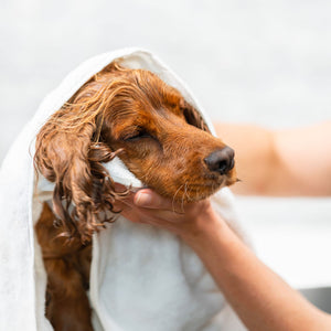 Dog Shampoo Bar - Lång päls