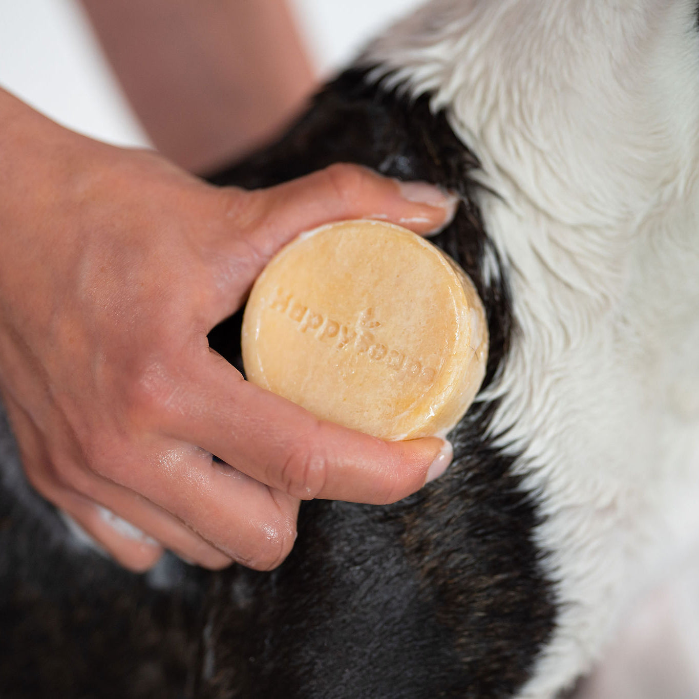 Dog Shampoo Bar - Kort päls