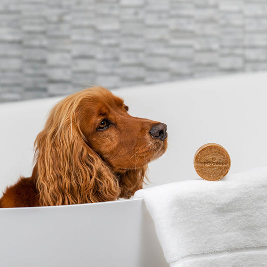 Dog Shampoo Bar - Lång päls