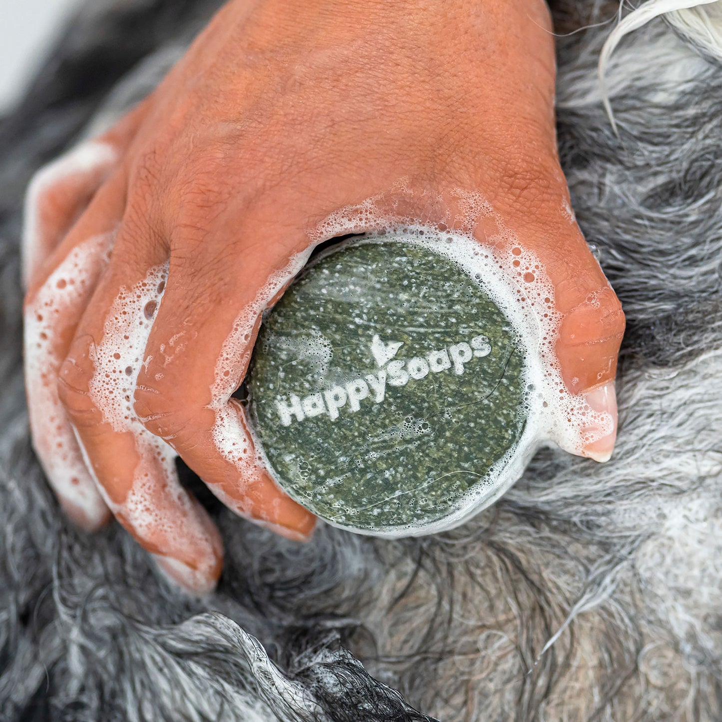 Dog Shampoo Bar - Universal