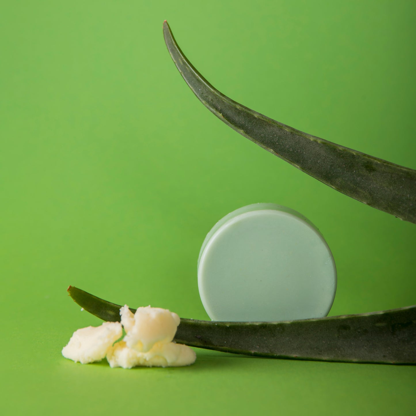 Aloë Vera Love Conditioner Bar